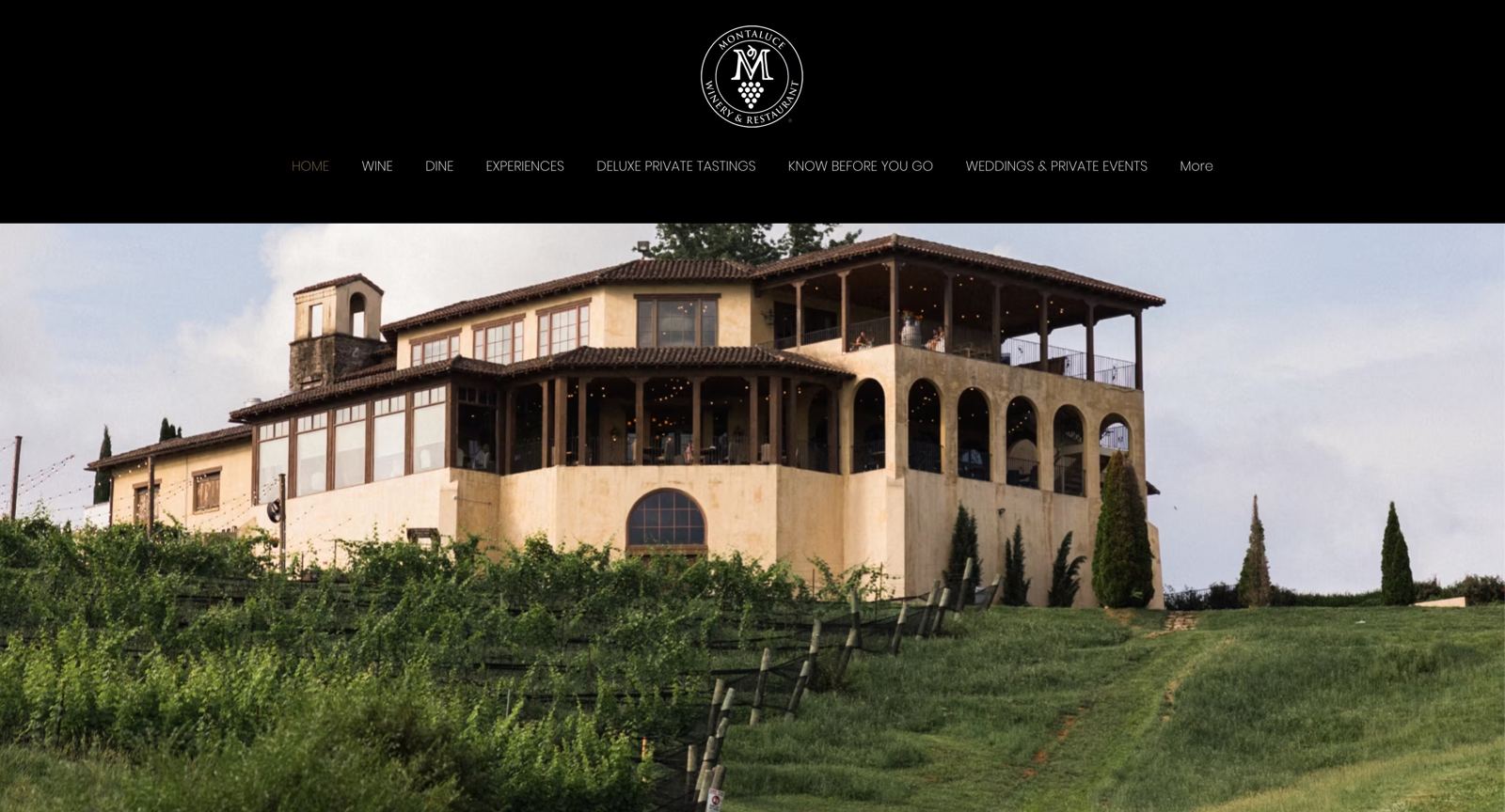 Previous Wix homepage