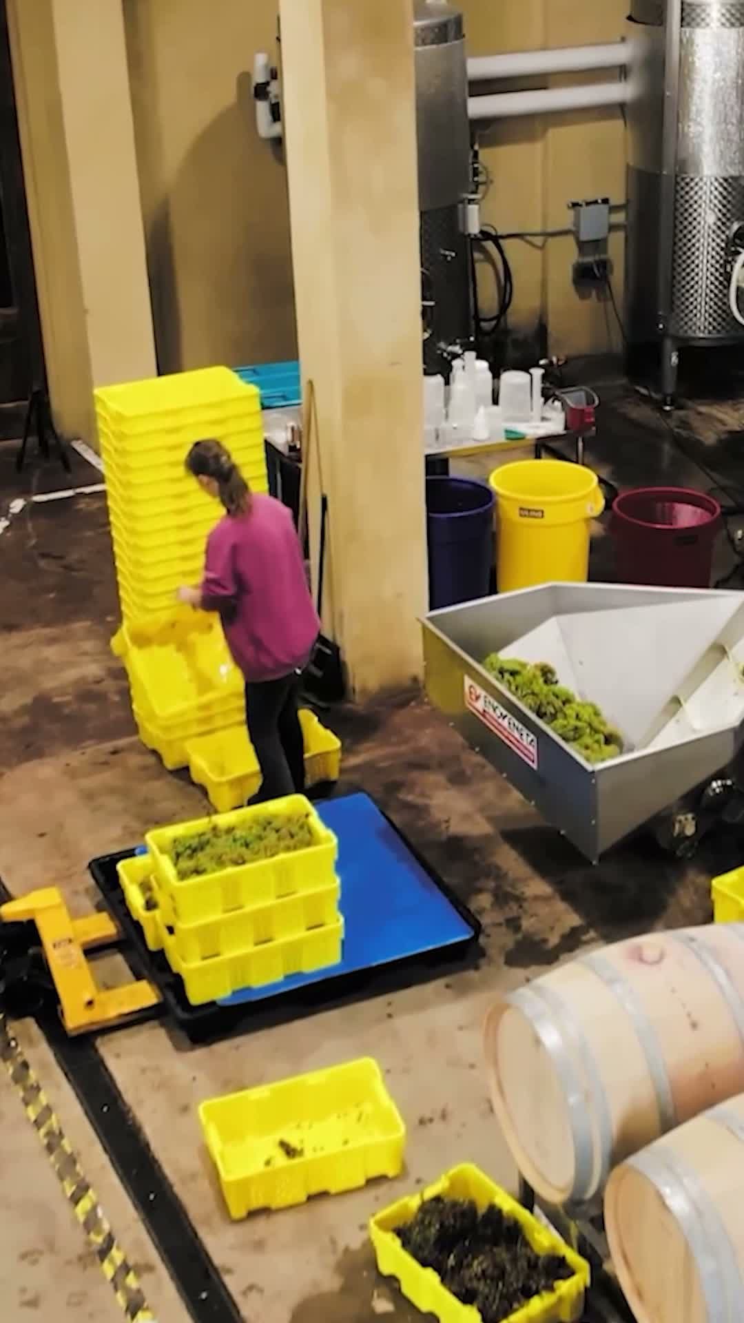 Harvest season